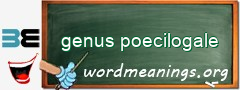 WordMeaning blackboard for genus poecilogale